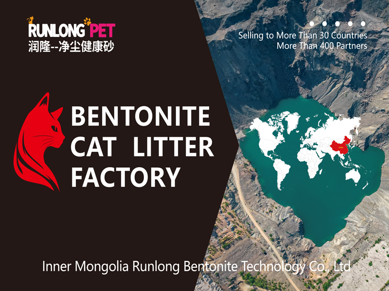 Runlong Technology Lightweight Mineral Cat Litter: A Revolutionary Innovation in the Mineral Cat Litter Industry!